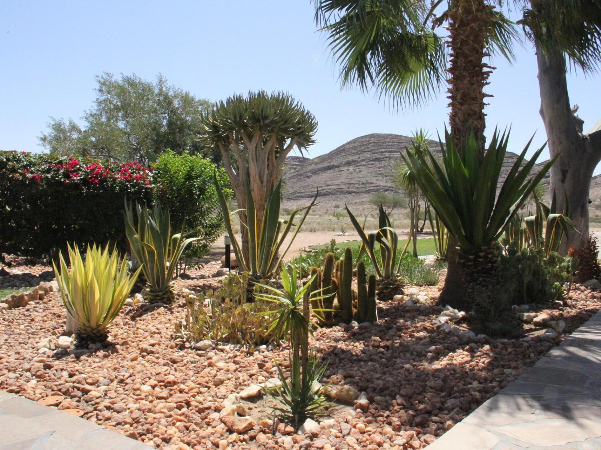 Rooisand Desert Ranch Chausib 객실 사진